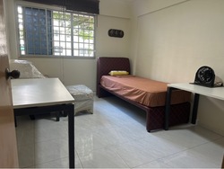 Blk 247 Tampines Street 21 (Tampines), HDB 5 Rooms #513939751